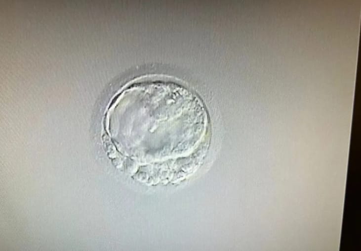 同济医院辅助生殖中心电话、地址怎么查？武汉生殖门诊就诊流程指南