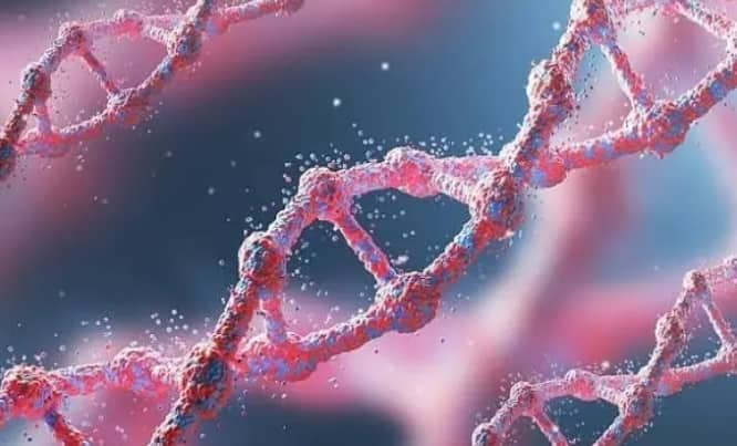 同济医院可以供卵吗？公立医院供卵政策与正规申请途径科普