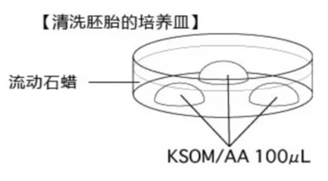 【2026实测】同济医院供卵费用15万起？差额构成与影响因素拆解