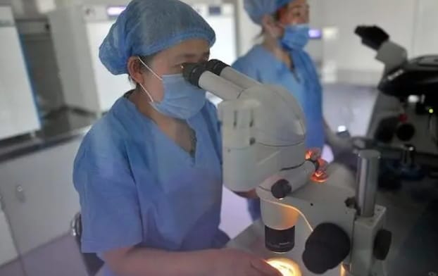 同济医院人工授精成功率有多高？适应人群与费用区间分析（2026数据参考）